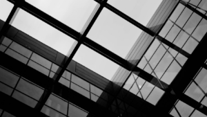 Internal Investigations